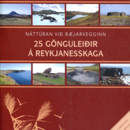 25 gönguleiðir á Reykjanesskaga - Reynir Ingibjartsson - Salka 2014