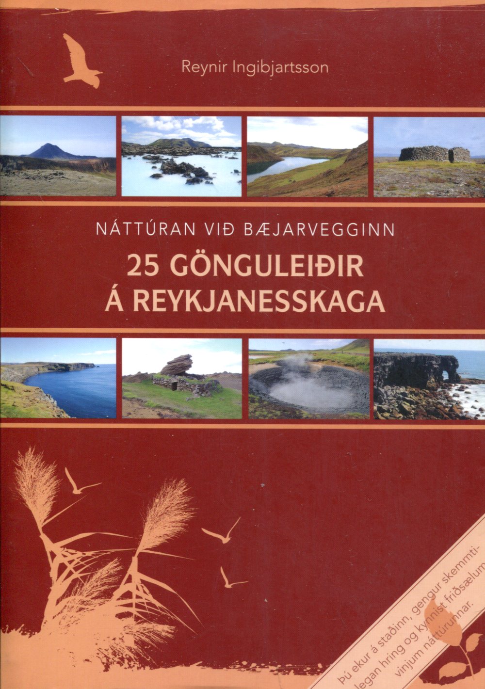 25 gönguleiðir á Reykjanesskaga - Reynir Ingibjartsson - Salka 2014