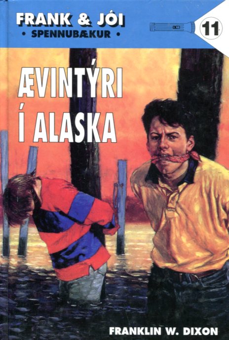 Ævintýri í Alaska - Frank og Jói bók 11 - Franklin W Dixon