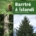 Barrtré á Íslandi - Við ræktum