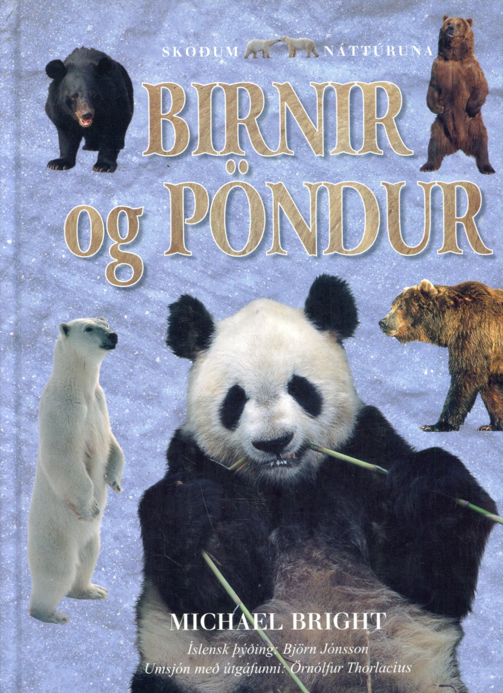 Birnir og pöndur - skoðum náttúrna - Michael Bright