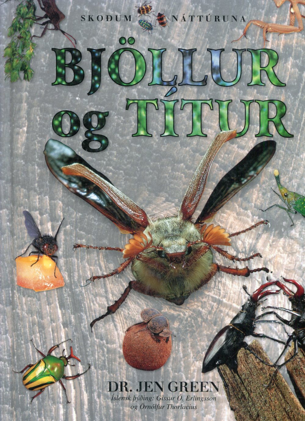 Bjöllur og Títur- skoðum náttúrna - Dr Jen Green Bjöllur og Títur- skoðum náttúrna - Dr Jen Green