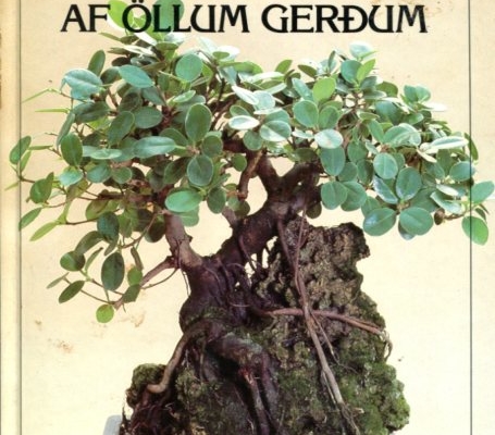 Dvergplöntur | Bonsai af öllum gerðum