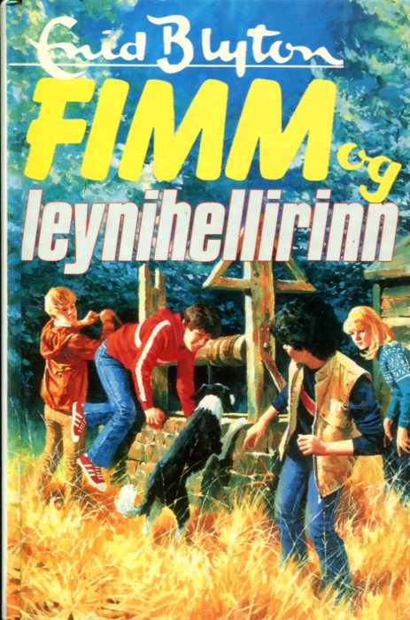Fimm og leynihellirinn - Enid Blyton