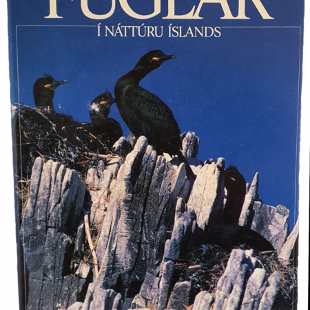 Fuglar í náttúru íslands - Guðmundur Páll Ólafsson - Mál og menning 1988