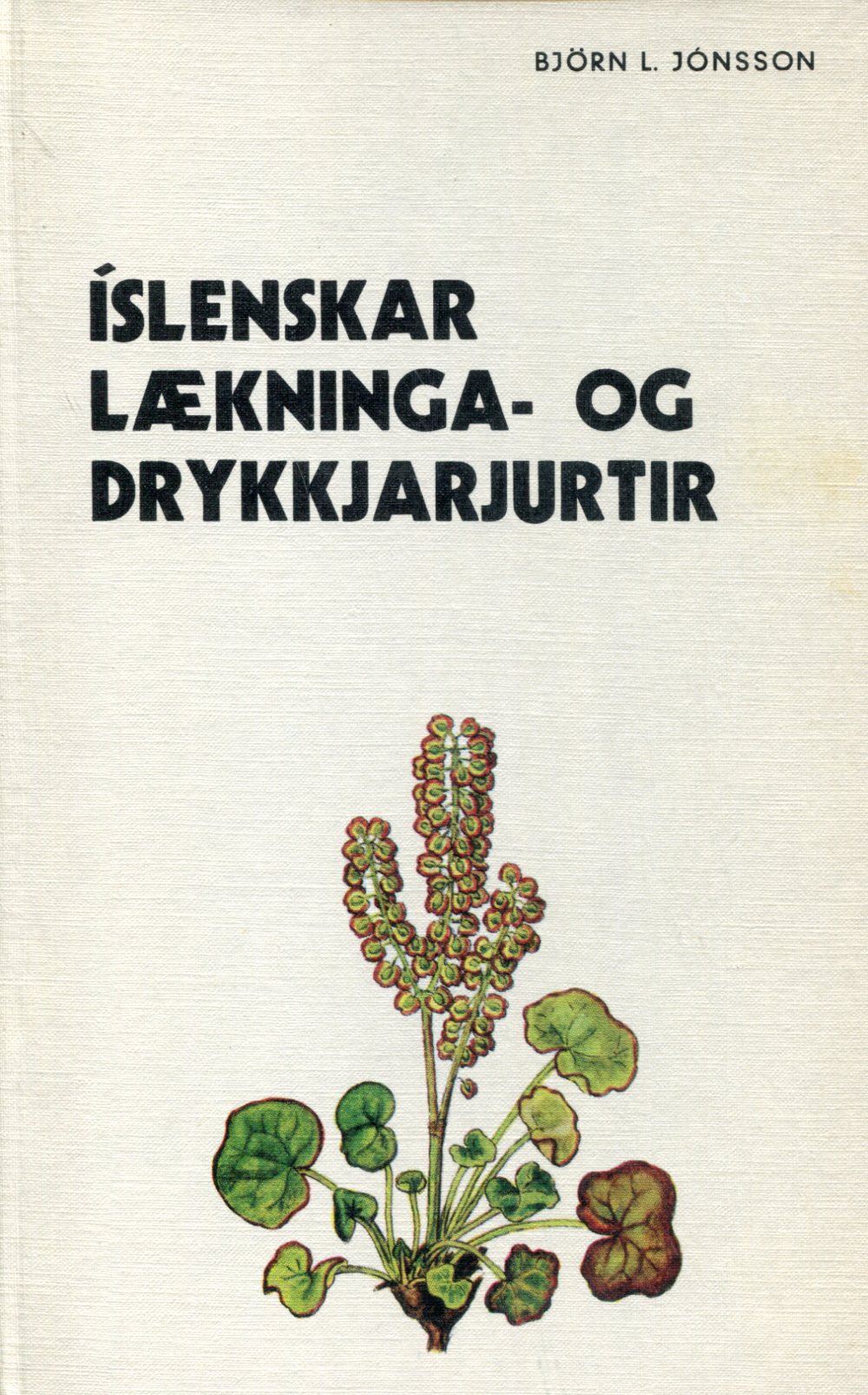 Íslenskar lækninga- og drykkjarjurtir - Björn L Jónsson