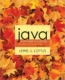 Java Software Solutions, foundations of program design