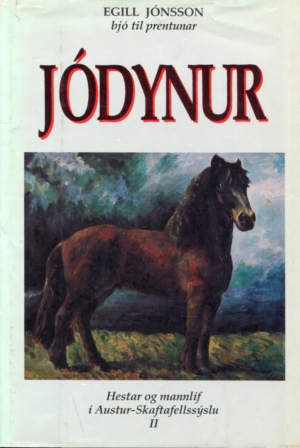 Jódynur - Hestar og mannlíf í Austur-skaftafellssýslu II