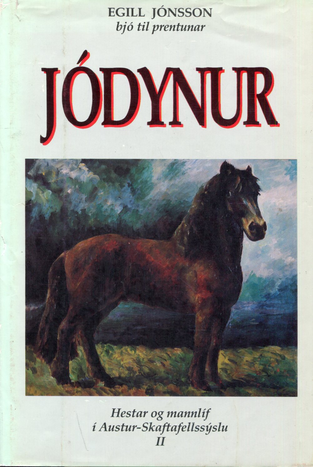 Jódynur - Hestar og mannlíf í Austur-skaftafellssýslu II
