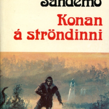 Konan á ströndinni - Sagan um Ísfólkið bók 34
