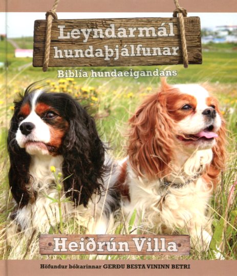 Leyndarmál hundaþjálfunar - Heiðrún Villa Ingudóttir