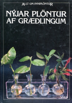 Nýjar plöntur af græðlingum - Allt um inniplöntur - Vaka