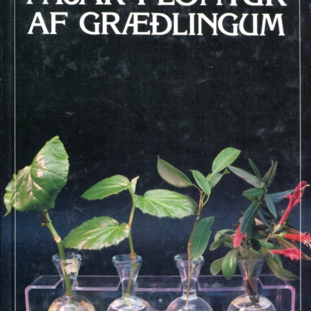 Nýjar plöntur af græðlingum - Allt um inniplöntur - Vaka