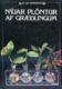 Nýjar plöntur af græðlingum - Allt um inniplöntur - Vaka