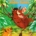 Simbi og Tímon móðga Púmba - Disneybók