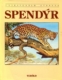 Spendýr Undraveröld dýranna - bók nr 15
