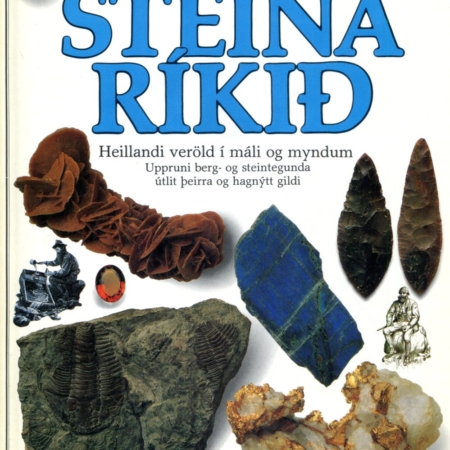Steinaríkið - Heimur í hnotskurn - Vaka-Helgafell