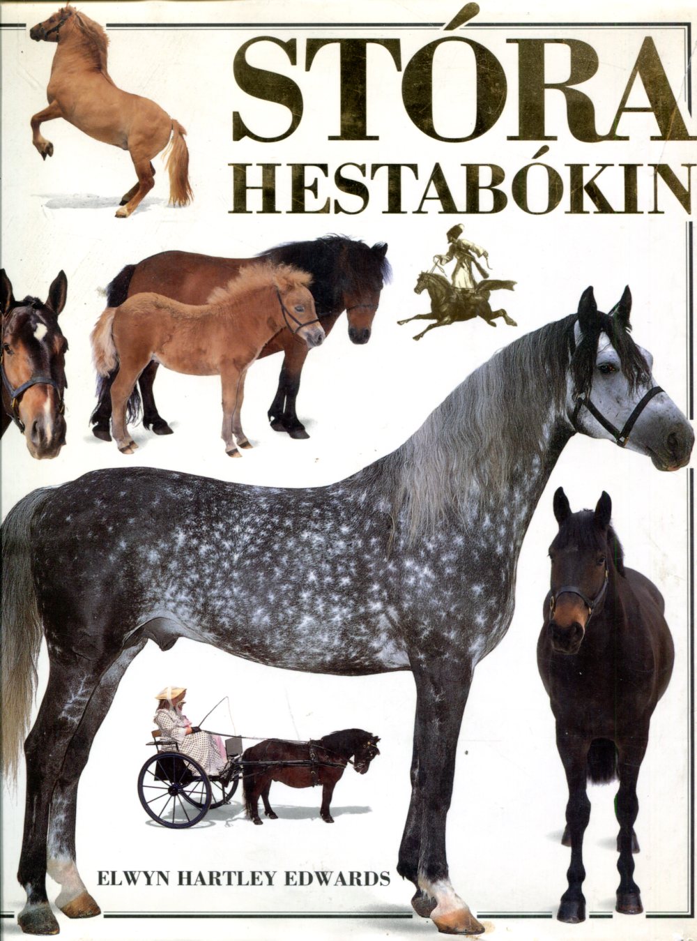 Stóra hestabókin - Elwyn Hartley Edwards