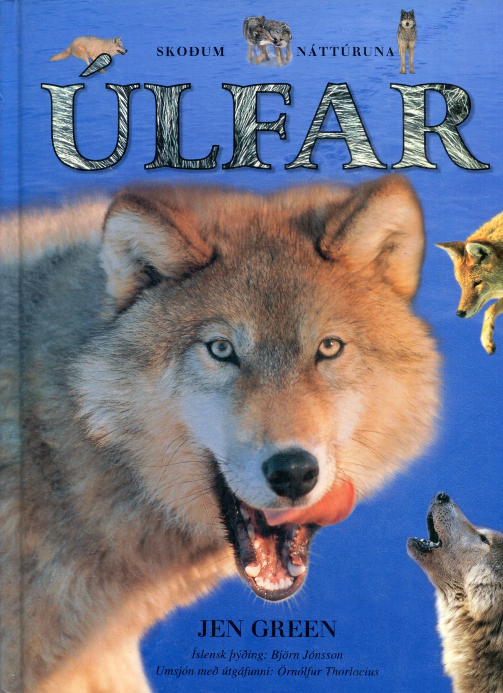 Úlfar- skoðum náttúrna - Jen Green