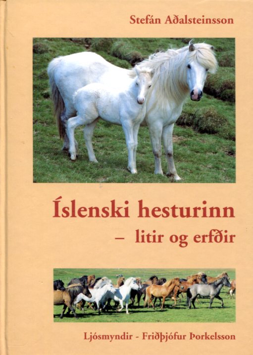 Íslenski hesturinn litir og erfði